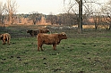 Rostoczek 11.2008 313